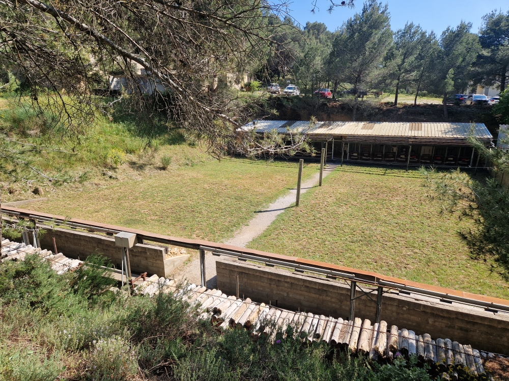 Départementaux ISSF