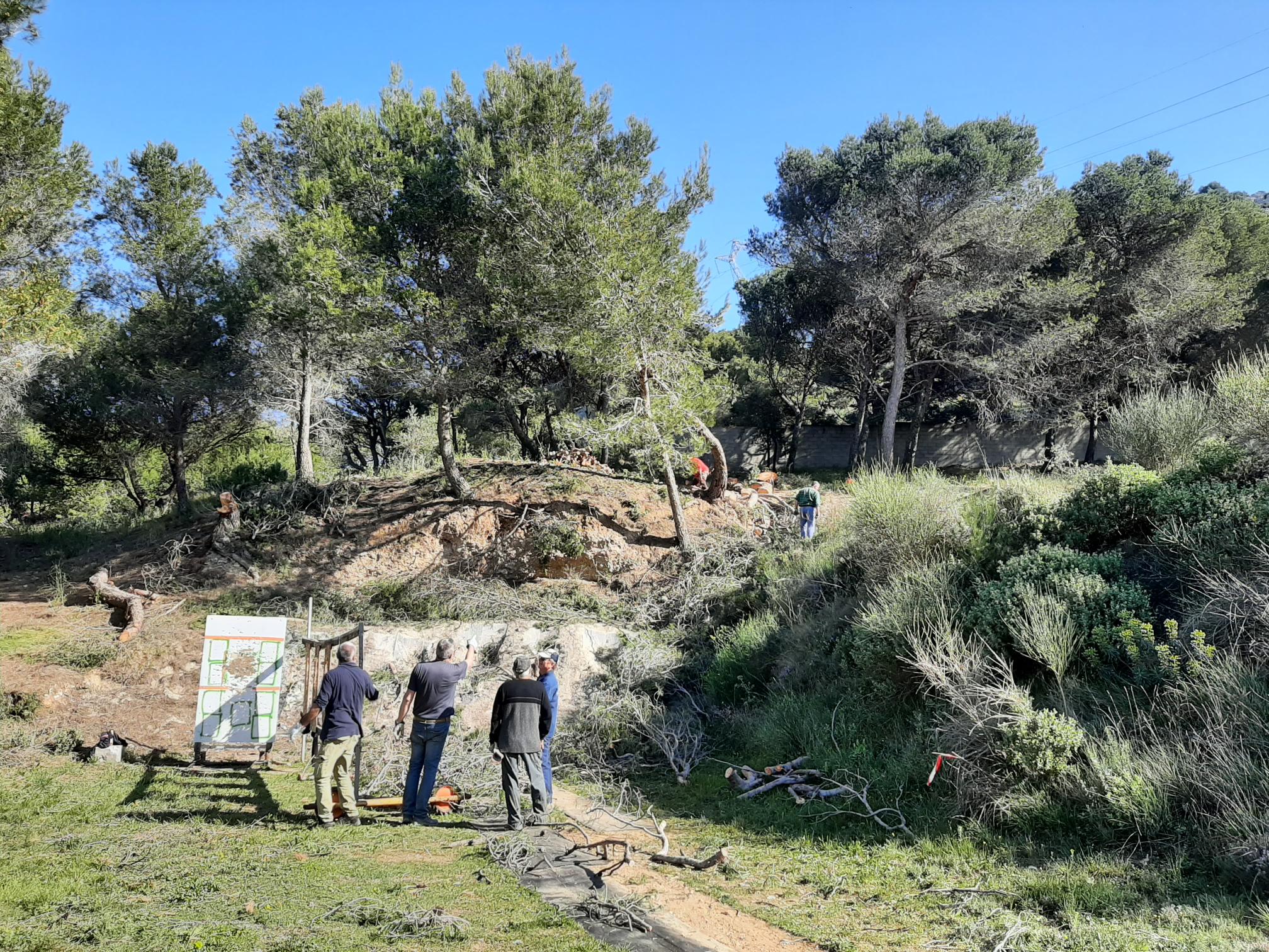 Activités de la semaine